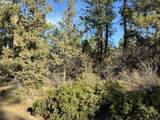  Hummingbird Dr - Photo 6