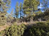  Hummingbird Dr - Photo 7