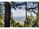 4530 Council Crest Dr - Photo 42