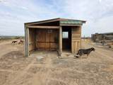  Camplbell Rd - Photo 30