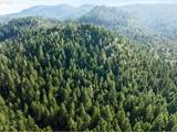  Redwood Hwy - Photo 9