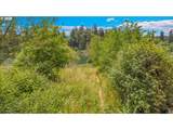 17014 Wiley Way - Photo 48