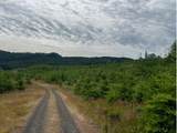  Northrup Creek Rd - Photo 12
