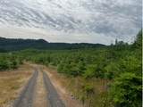  Northrup Creek Rd - Photo 13