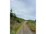  Northrup Creek Rd - Photo 3