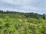  Northrup Creek Rd - Photo 4