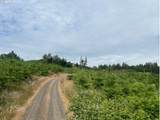  Northrup Creek Rd - Photo 5