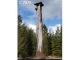 267 Usfs 86 Rd - Photo 23