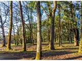 4210 Breyman Orchards Rd - Photo 10