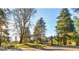 4210 Breyman Orchards Rd - Photo 38