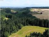 2678 Drift Creek Rd - Photo 4