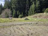  Hume Rd - Photo 35