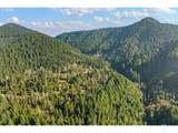 80181 Lost Creek Rd - Photo 19