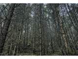  Erickson Rd - Photo 12
