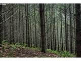  Erickson Rd - Photo 13
