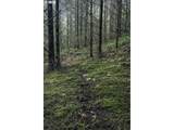  Erickson Rd - Photo 14