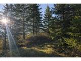  Erickson Rd - Photo 9
