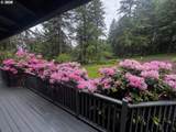4386 Bramblewood Ct - Photo 10