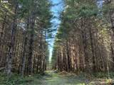 00 Wildcat Mountain Dr - Photo 1