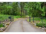 50775 Baty Rd - Photo 45