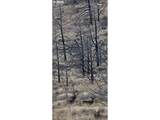 69900 Lower Valley Dr - Photo 10