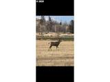 69900 Lower Valley Dr - Photo 12