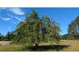 32153 Goddard Ln - Photo 28