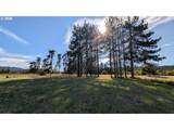 32153 Goddard Ln - Photo 31