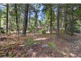 4172 Placer Rd - Photo 5