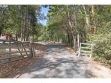 4172 Placer Rd - Photo 6