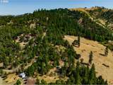 1007 Wild Iris Ln - Photo 24