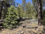  Horned Owl Ln - Photo 1