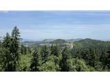 2689 Cupola Dr - Photo 8