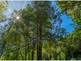 55593 Glen Aiken Creek Rd - Photo 44