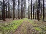 23939 Raze Rd - Photo 39