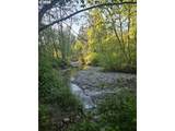 15823 Basalt Ct - Photo 2