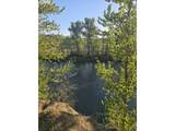 15823 Basalt Ct - Photo 3