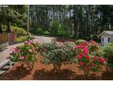 88378 Collard Lake Rd - Photo 7