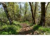21542 Highway 126 - Photo 10