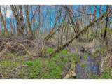 21542 Highway 126 - Photo 11
