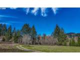 21542 Highway 126 - Photo 13
