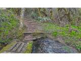 21542 Highway 126 - Photo 14