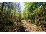 21542 Highway 126 - Photo 7