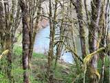  Northrup Creek Rd - Photo 3