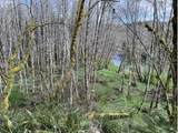  Northrup Creek Rd - Photo 4