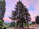 339 Nevala Rd - Photo 48