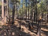  Bliss Rd - Photo 12