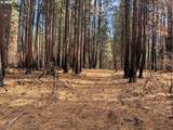 Bliss Rd - Photo 16