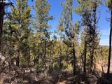  Bliss Rd - Photo 17