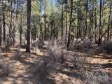  Bliss Rd - Photo 9